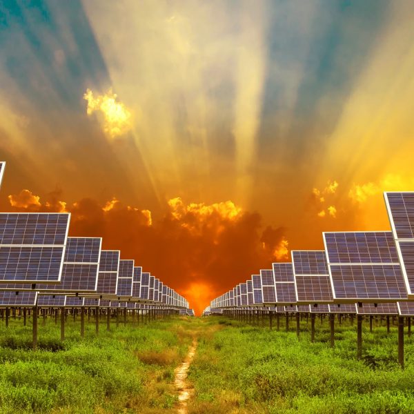 Solar Farm