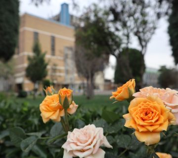 نیروگاه شهید منتظر قائم